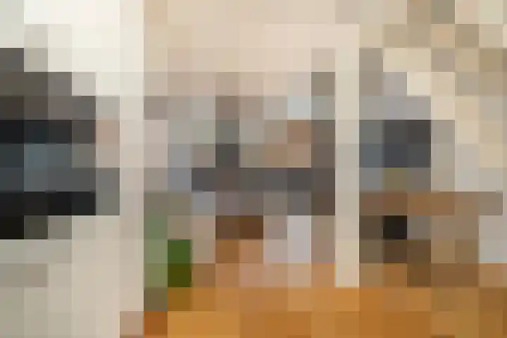 Cornelis Bakkerlaan 15 Laren thumbnail 9