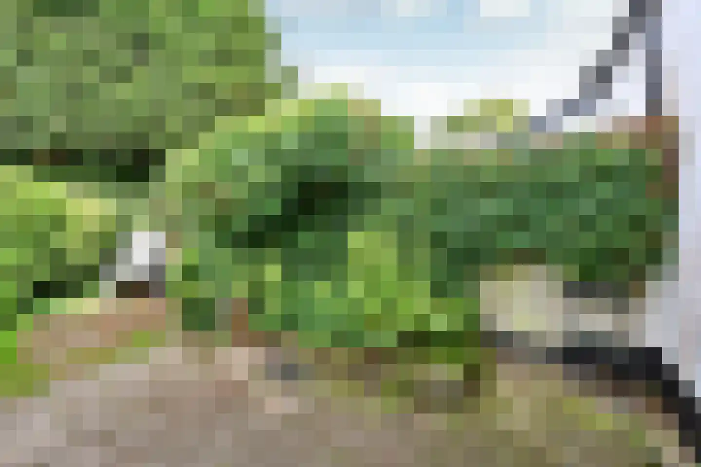 Cornelis Bakkerlaan 32 Laren thumbnail 10
