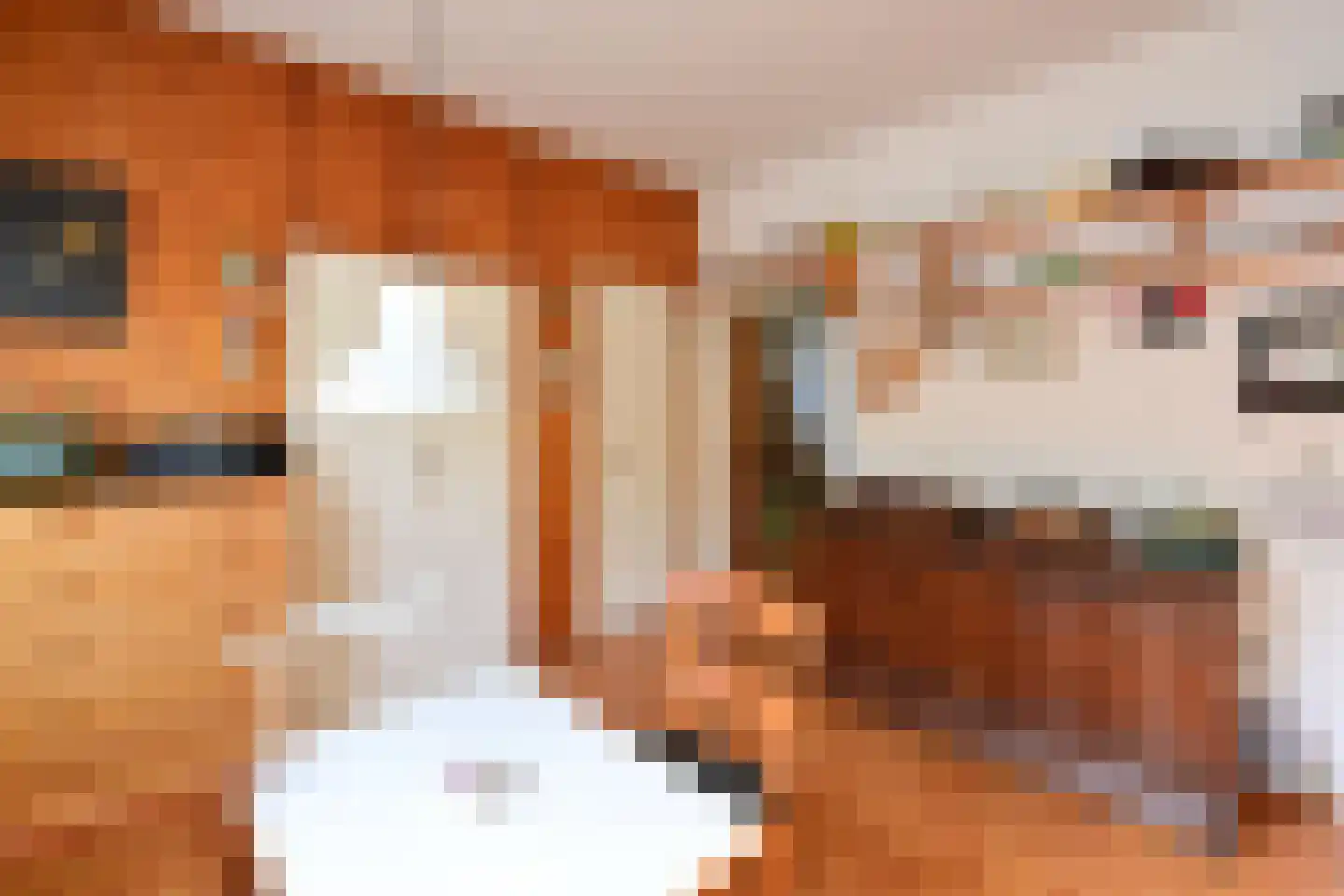 Cornelis Bakkerlaan 32 Laren thumbnail 6