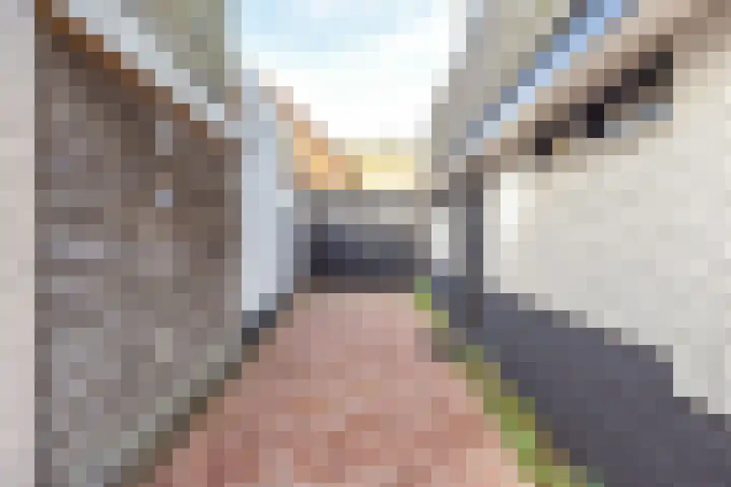 Cornelis Bakkerlaan 36 Laren thumbnail 35