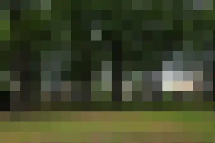 Cornelis Bakkerlaan 39 Laren thumbnail 30