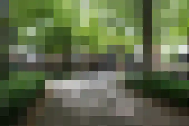 Cornelis Bakkerlaan 39 Laren thumbnail 31