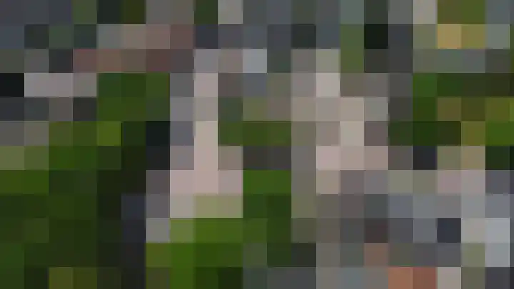 Cornelis Bakkerlaan 39 Laren thumbnail 4