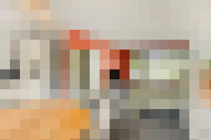 Cornelis Begastraat 18 Alkmaar thumbnail 11