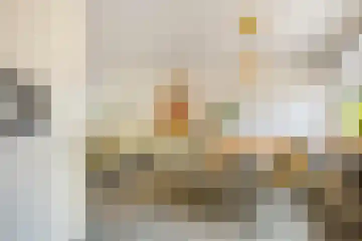 Cornelis Begastraat 18 Alkmaar thumbnail 16