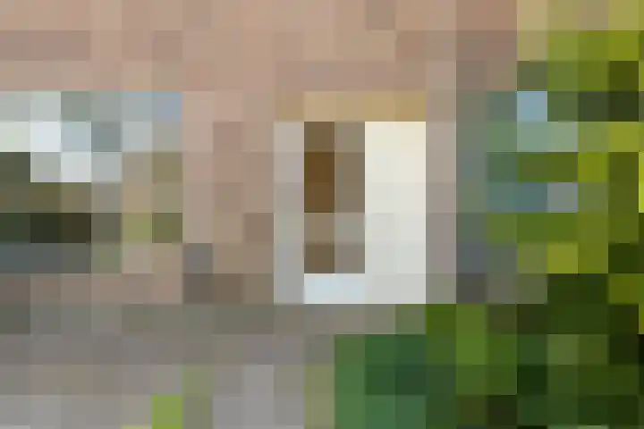 Cornelis Begastraat 18 Alkmaar thumbnail 7