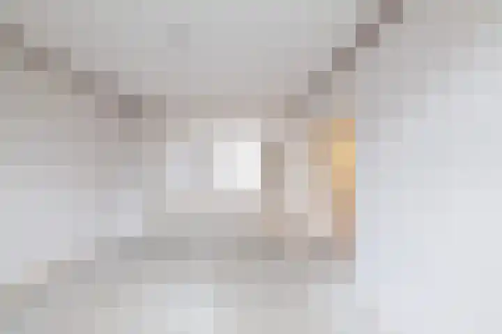 Cornelis Blaakstraat 2 Oudenhoorn thumbnail 16