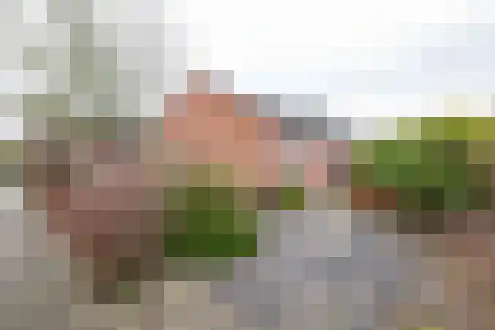 Cornelis Blaakstraat 2 Oudenhoorn thumbnail 4