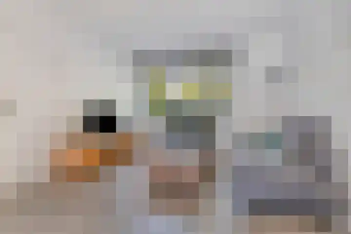 Cornelis Blaakstraat 6 Oudenhoorn thumbnail 10
