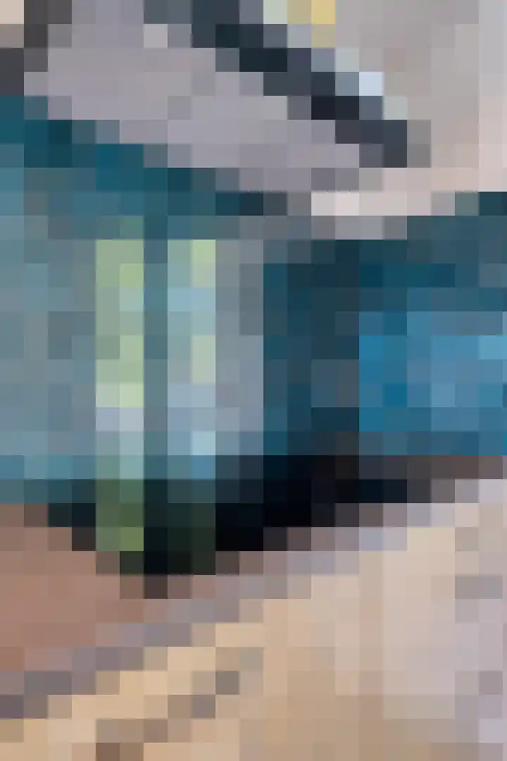 Cornelis Blaakstraat 6 Oudenhoorn thumbnail 18