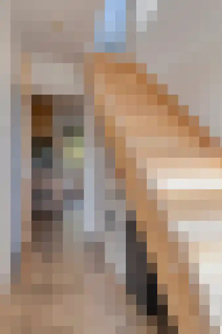 Cornelis Blaakstraat 6 Oudenhoorn thumbnail 20