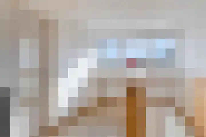 Cornelis Blaakstraat 6 Oudenhoorn thumbnail 21