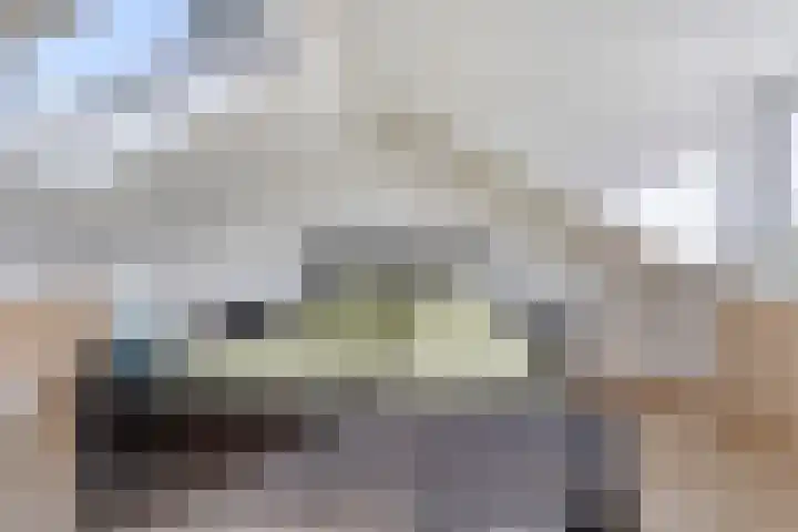 Cornelis Blaakstraat 6 Oudenhoorn thumbnail 24