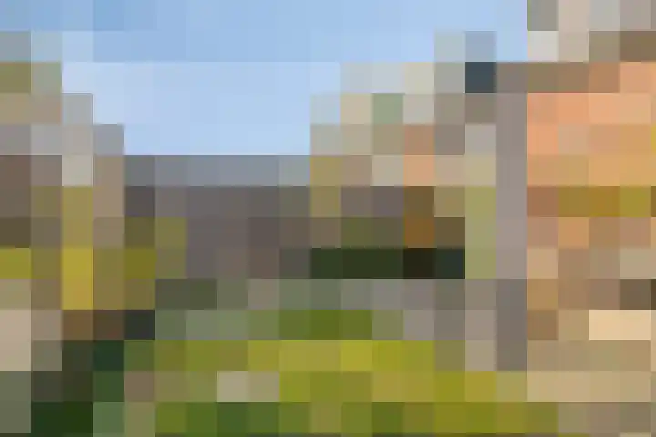 Cornelis Blaakstraat 6 Oudenhoorn thumbnail 31