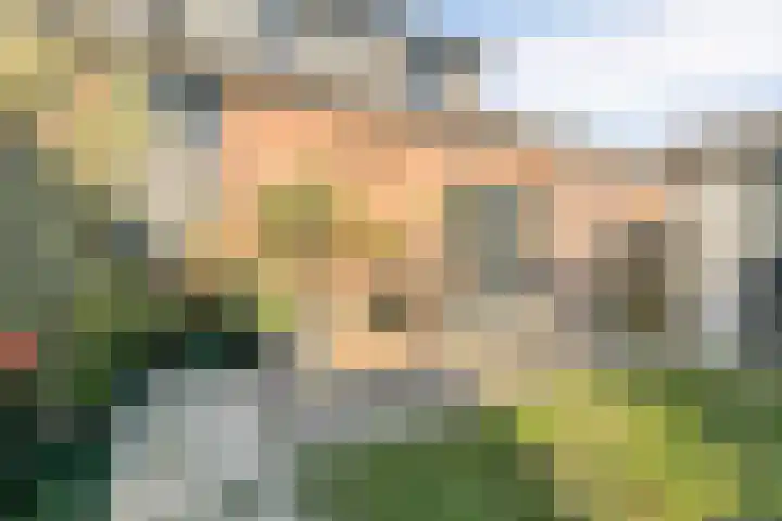 Cornelis Blaakstraat 6 Oudenhoorn thumbnail 33