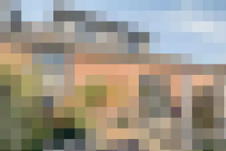 Cornelis Blaakstraat 6 Oudenhoorn thumbnail 35