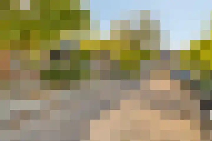 Cornelis Blaakstraat 6 Oudenhoorn thumbnail 5