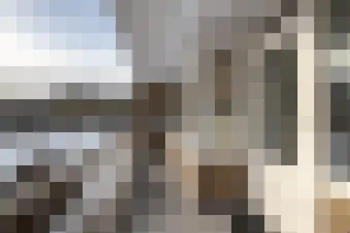 Cornelis Bloemaertsingel 14 Rotterdam thumbnail 16