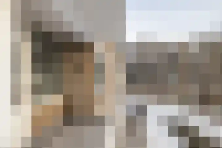 Cornelis Bloemaertsingel 14 Rotterdam thumbnail 17