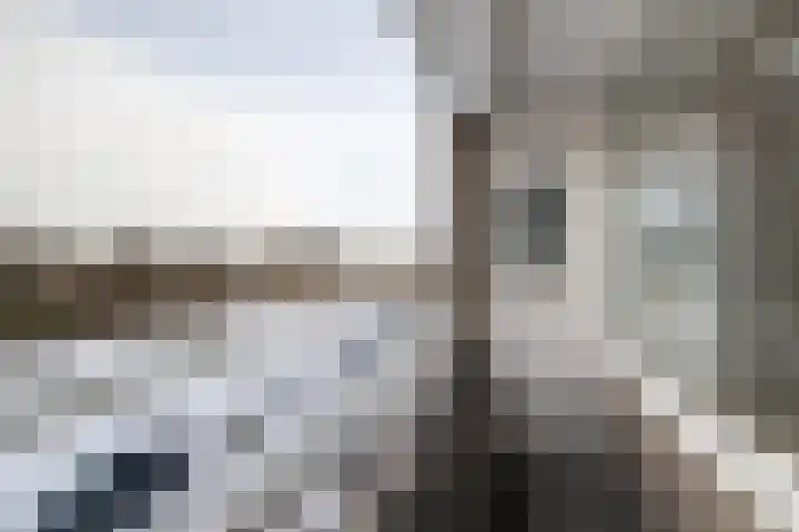 Cornelis Bloemaertsingel 14 Rotterdam thumbnail 19