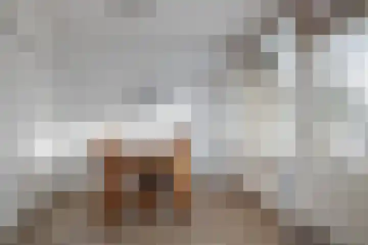 Cornelis Bloemaertsingel 14 Rotterdam thumbnail 6