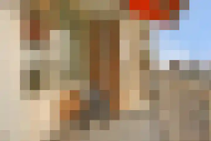 Cornelis Bloemaertsingel 18 Rotterdam thumbnail 17
