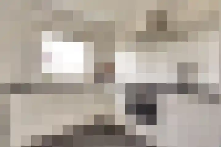 Cornelis Bloemaertsingel 18 Rotterdam thumbnail 9