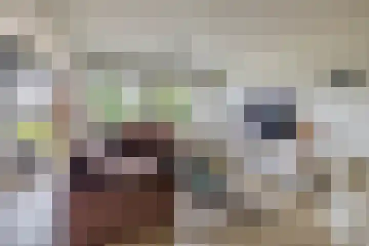 Cornelis Bloemaertsingel 45 Rotterdam thumbnail 11