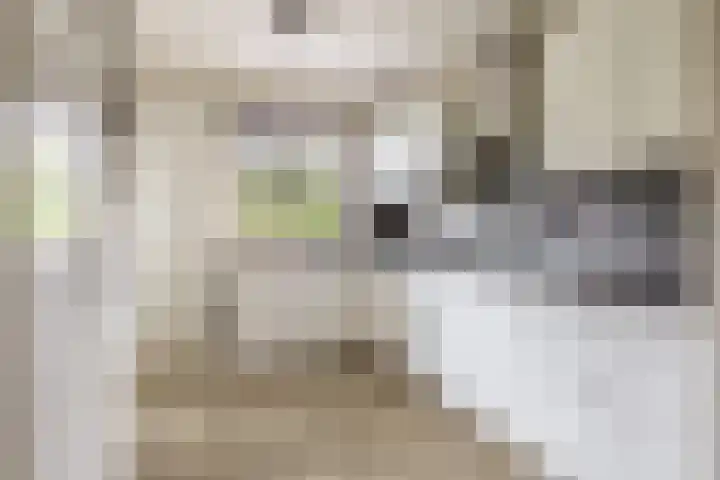 Cornelis Bloemaertsingel 45 Rotterdam thumbnail 20