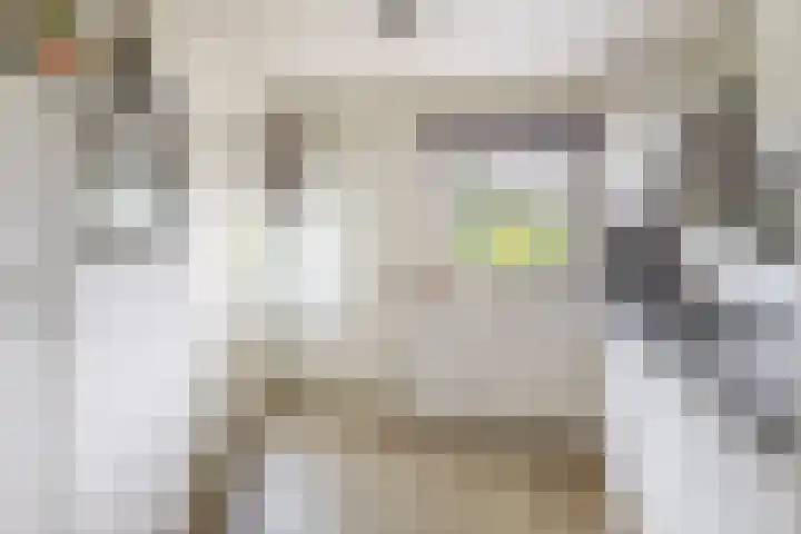 Cornelis Bloemaertsingel 45 Rotterdam thumbnail 21