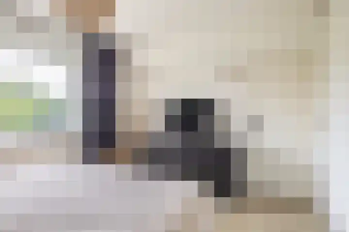 Cornelis Bloemaertsingel 45 Rotterdam thumbnail 27