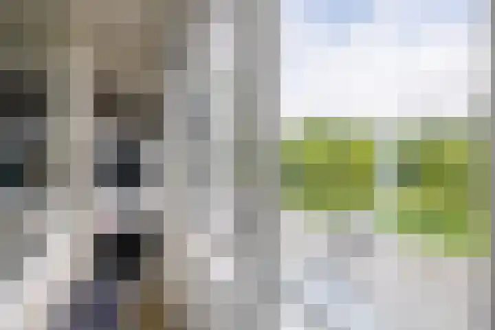 Cornelis Bloemaertsingel 45 Rotterdam thumbnail 32