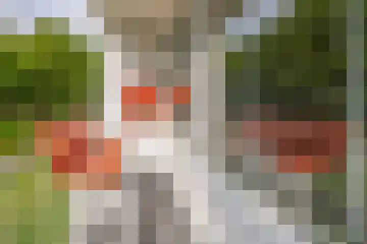 Cornelis Bloemaertsingel 45 Rotterdam thumbnail 33