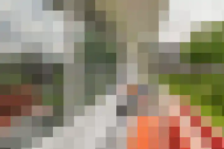 Cornelis Bloemaertsingel 45 Rotterdam thumbnail 34