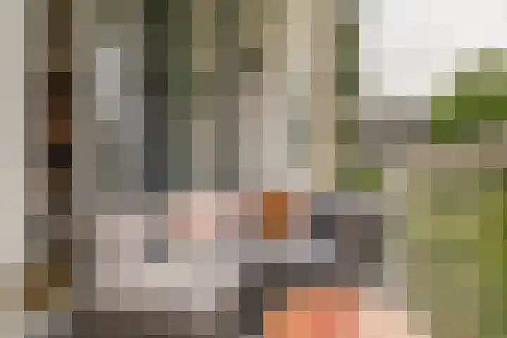 Cornelis Bloemaertsingel 45 Rotterdam thumbnail 35