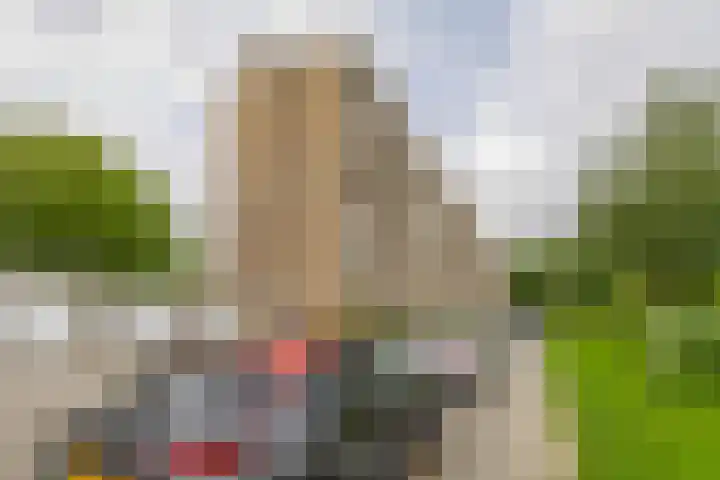 Cornelis Bloemaertsingel 45 Rotterdam thumbnail 41