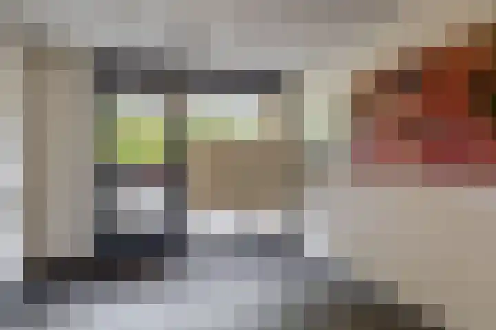 Cornelis Bloemaertsingel 45 Rotterdam thumbnail 6