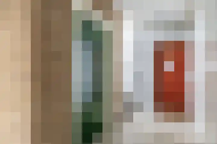 Cornelis Bloemaertsingel 45 Rotterdam thumbnail 7