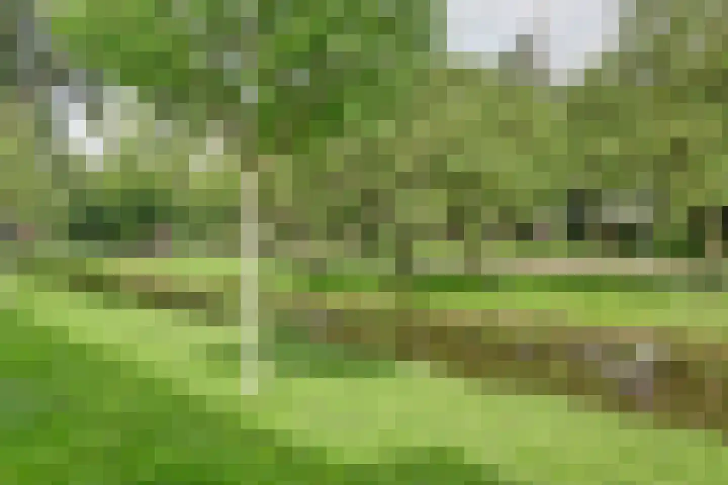 Cornelis Bloemaertsingel 68 Rotterdam thumbnail 30