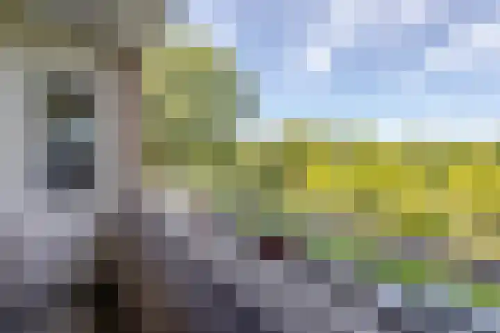 Cornelis Bloemaertsingel 71 Rotterdam thumbnail 20