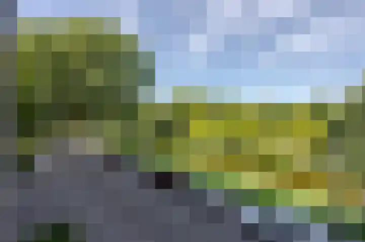 Cornelis Bloemaertsingel 71 Rotterdam thumbnail 22