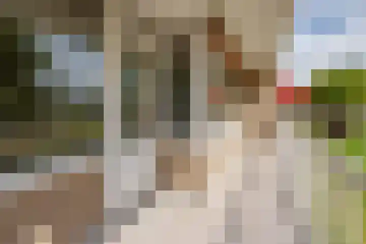 Cornelis Bloemaertsingel 71 Rotterdam thumbnail 23