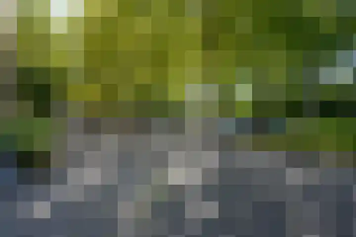 Cornelis Bloemaertsingel 71 Rotterdam thumbnail 29