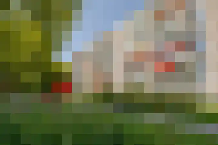 Cornelis Bloemaertsingel 71 Rotterdam thumbnail 30