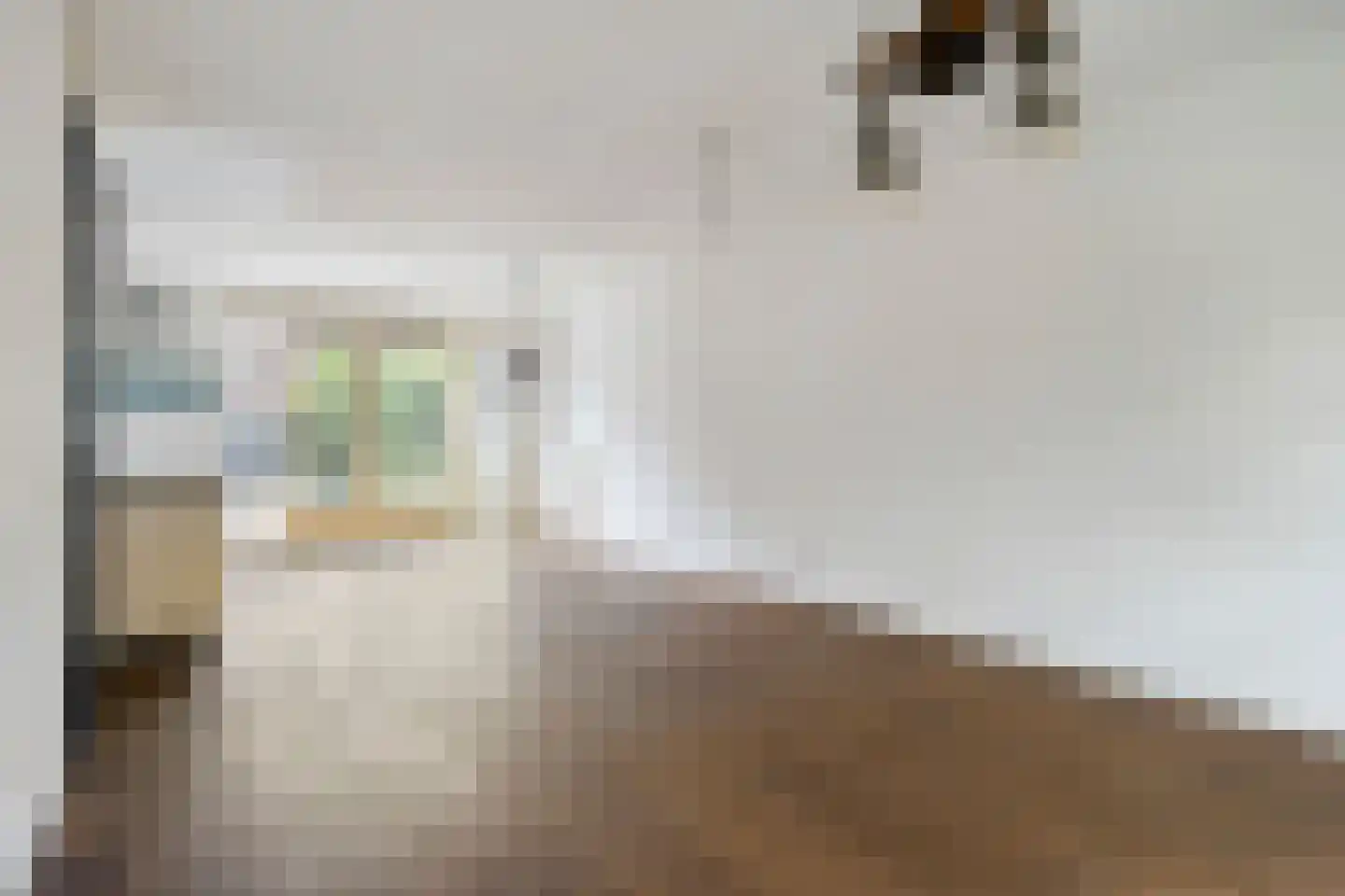 Cornelis Bloemaertstraat 26 Eindhoven thumbnail 10