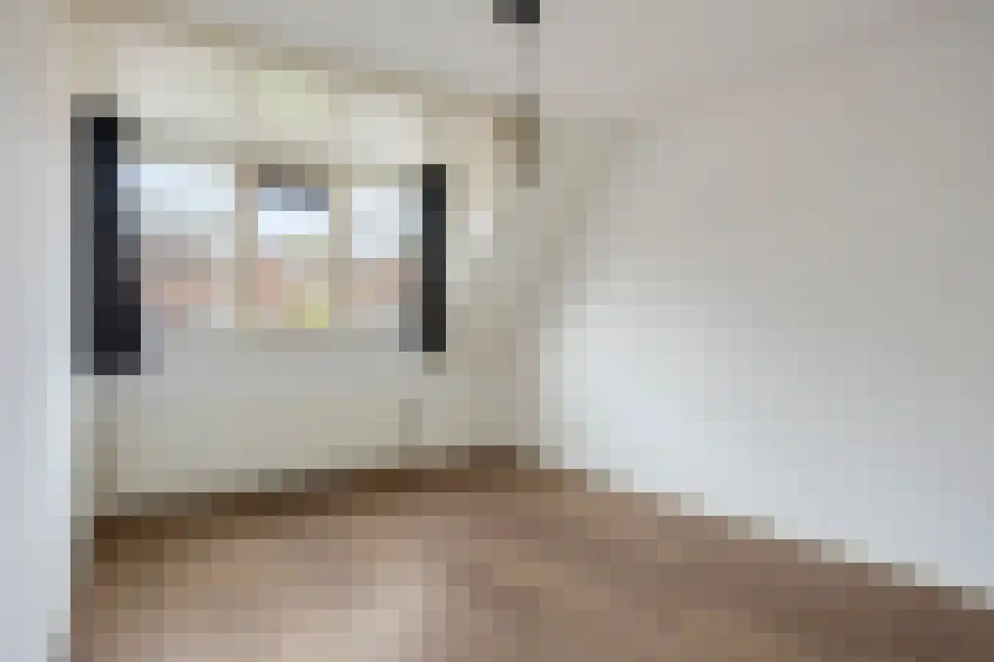 Cornelis Bloemaertstraat 26 Eindhoven thumbnail 19