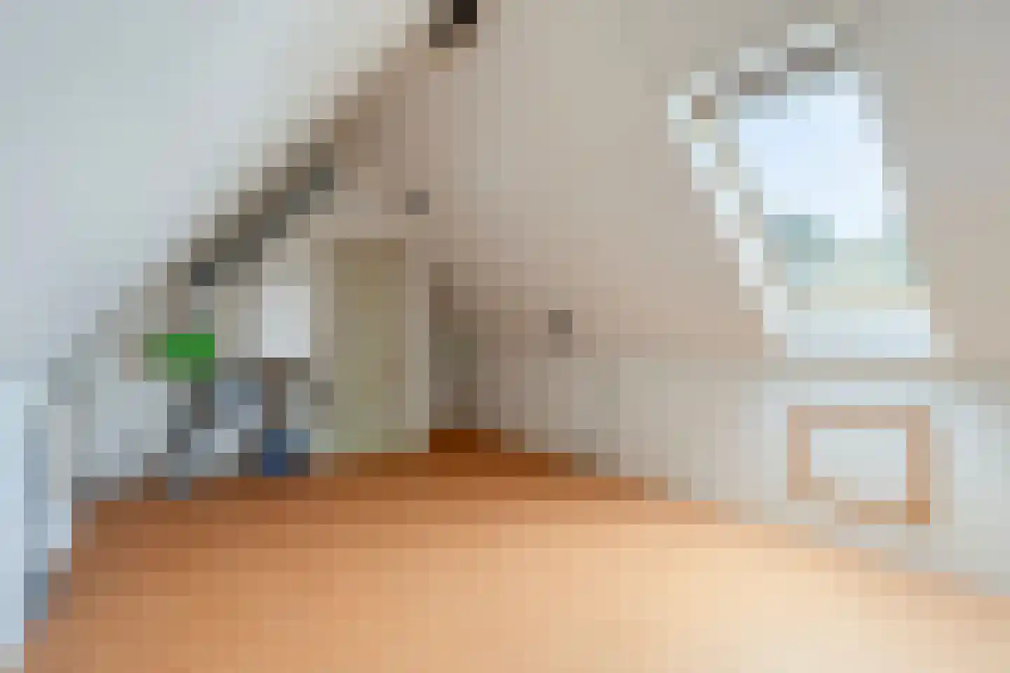 Cornelis Bloemaertstraat 26 Eindhoven thumbnail 28