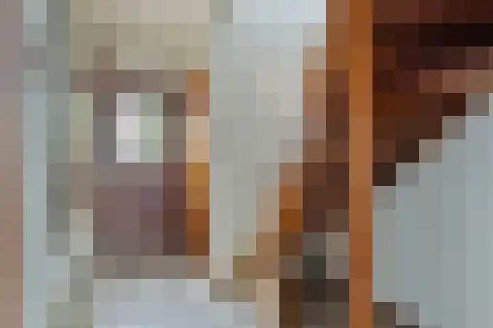 Cornelis Bloemaertstraat 59 Eindhoven thumbnail 4