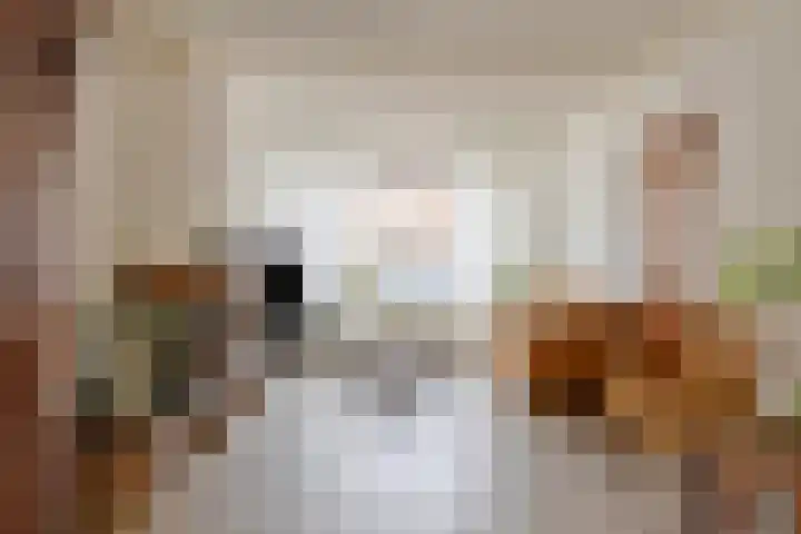 Cornelis Bloemaertstraat 59 Eindhoven thumbnail 7