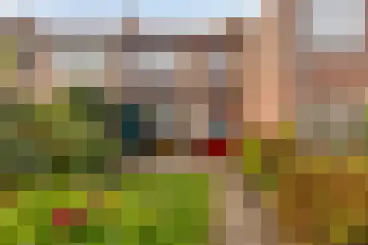 Cornelis Bloemaertstraat 63 Eindhoven thumbnail 22